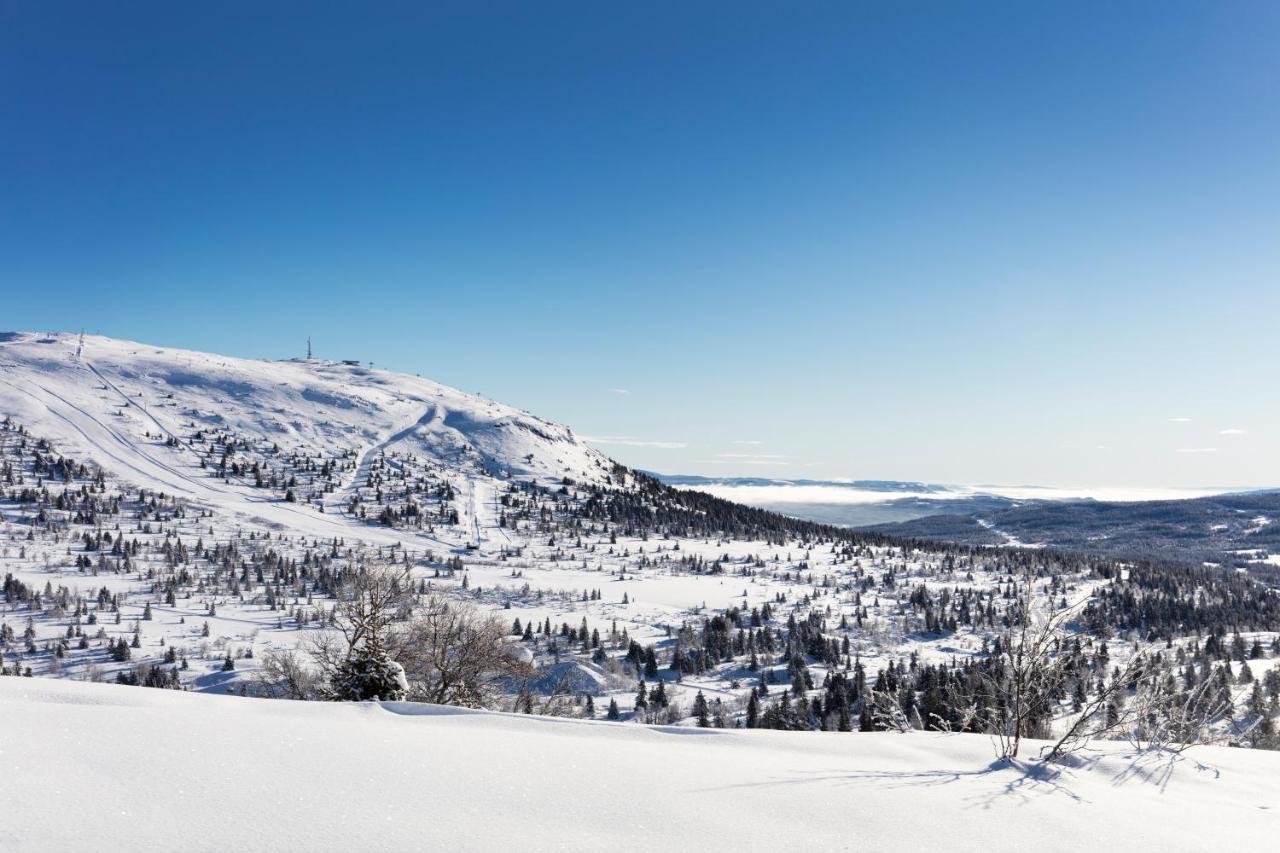Skeikampen Servicesenter Svingvoll エクステリア 写真